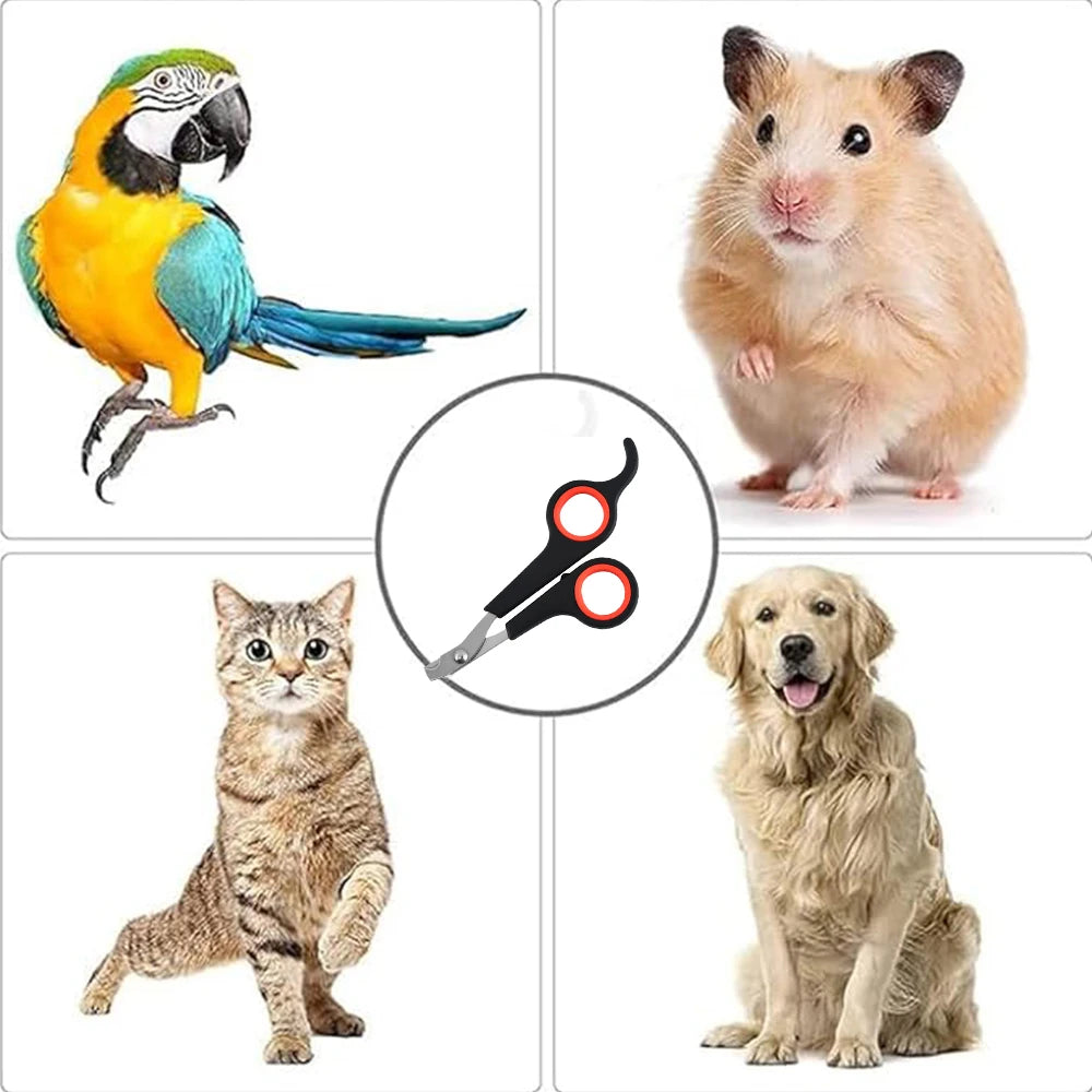 Pet Nail Claw Grooming Scissors Clippers for Dog Cat Toys Gerbil Small Animals Newest Rabbit Ferret Supplies  Pet Products