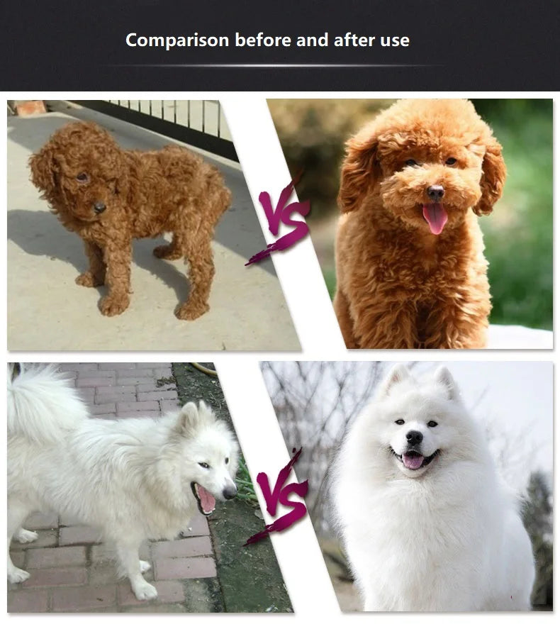 Pet Shower Gel for Puppy and Cat, Shower Soap, Soft Shampoo, Body Wash, Teddy, Golden Retriever, Bathing Supplies