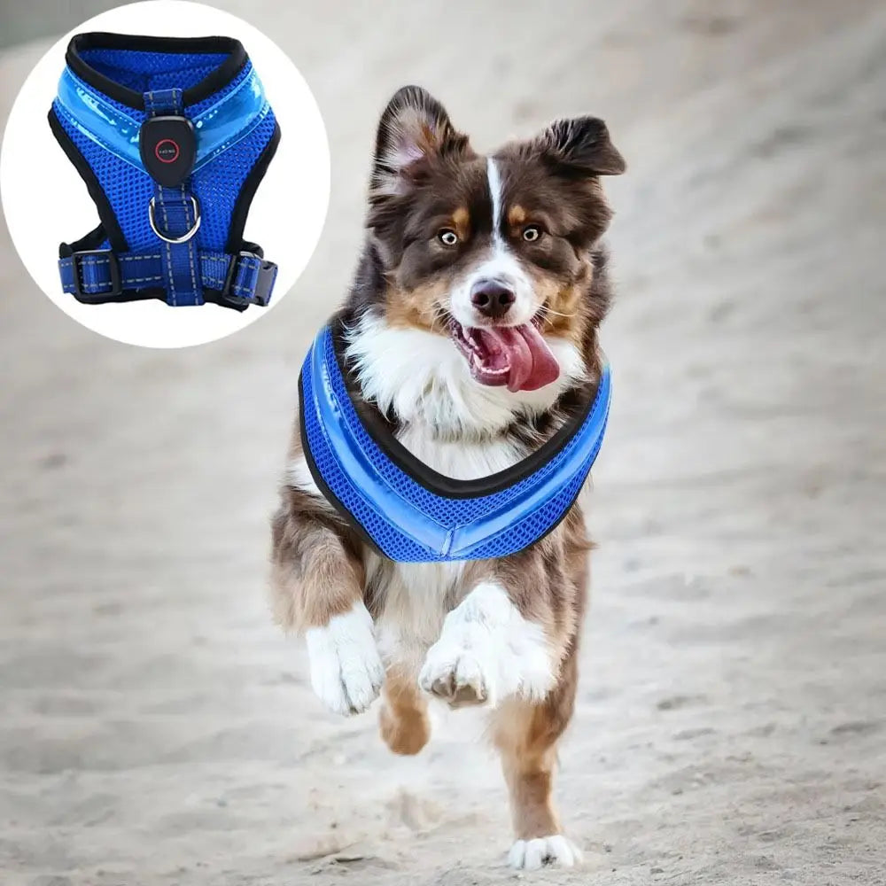 Pet Dog Supplies Luminous Pet LED Harness Rechargeable Breathable Dog Traction Harness Waterproof Dog Vest Night