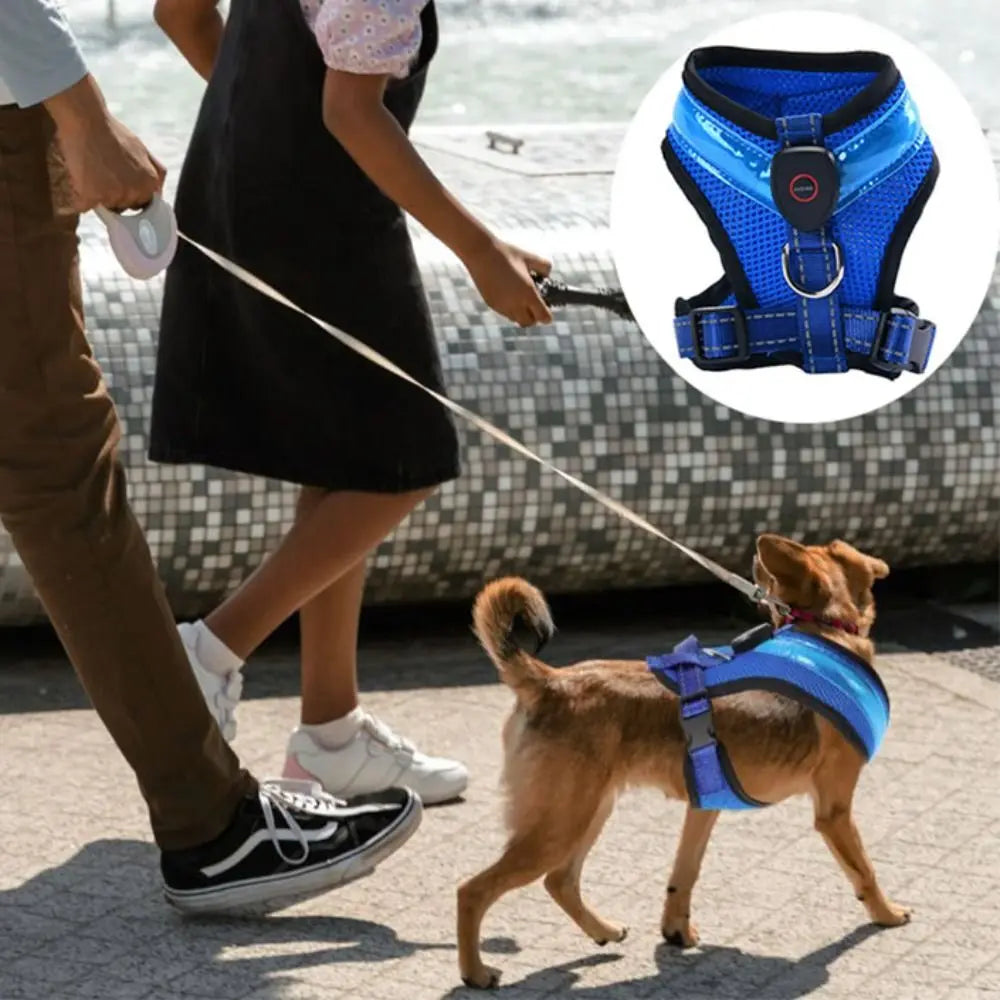 Pet Dog Supplies Luminous Pet LED Harness Rechargeable Breathable Dog Traction Harness Waterproof Dog Vest Night