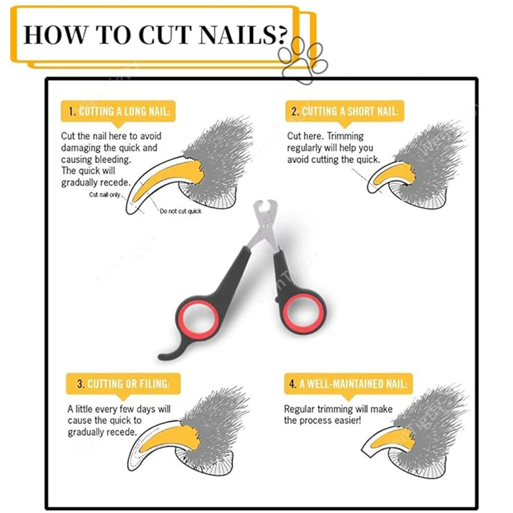 Pet Nail Claw Grooming Scissors Clippers for Dog Cat Toys Gerbil Small Animals Newest Rabbit Ferret Supplies  Pet Products