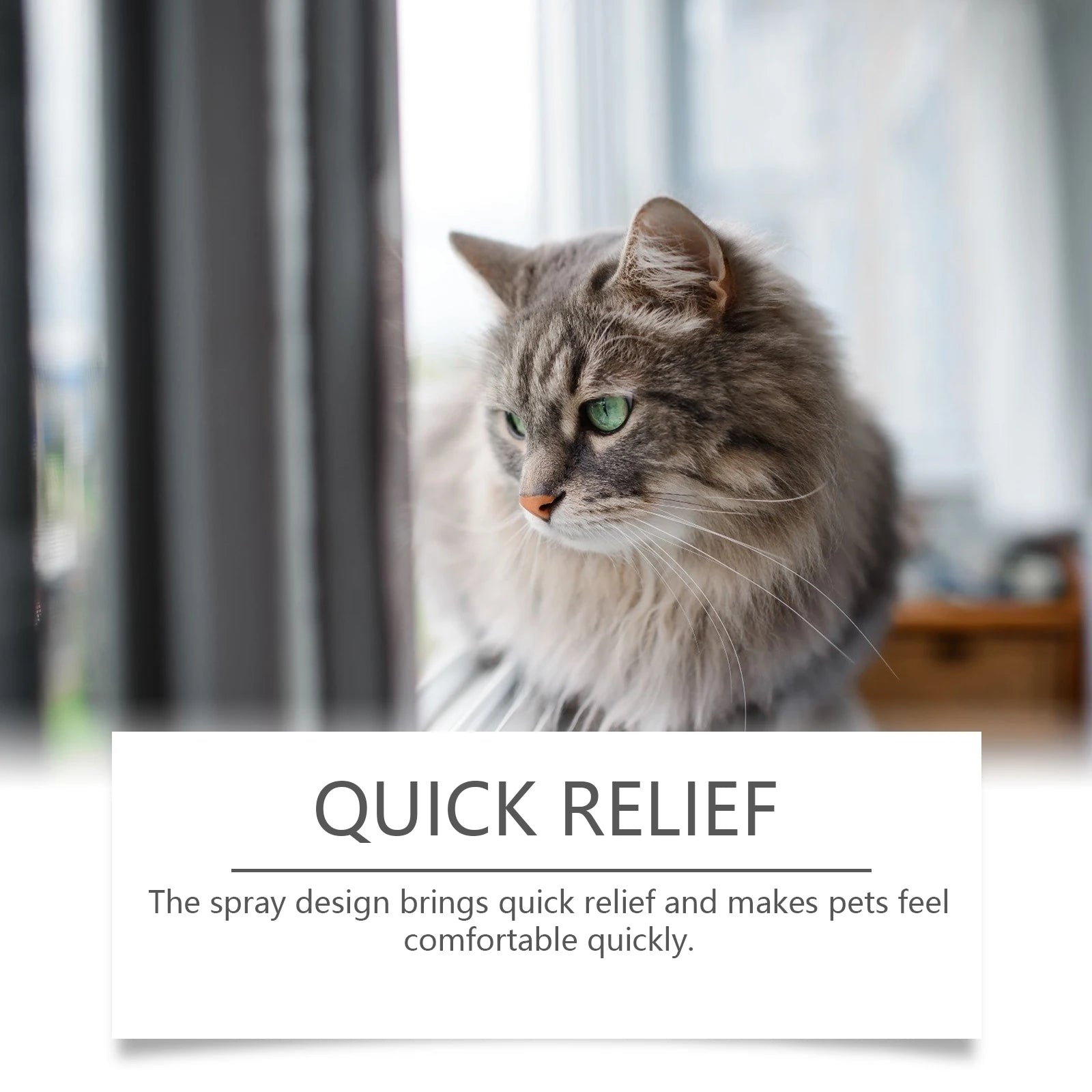 Pet Care Spray - Relieves Skin Discomfort for Cats & Dogs, Soothes & Nurtures Pets