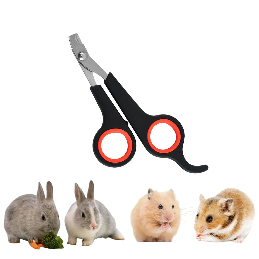 Pet Nail Claw Grooming Scissors Clippers for Dog Cat Toys Gerbil Small Animals Newest Rabbit Ferret Supplies  Pet Products