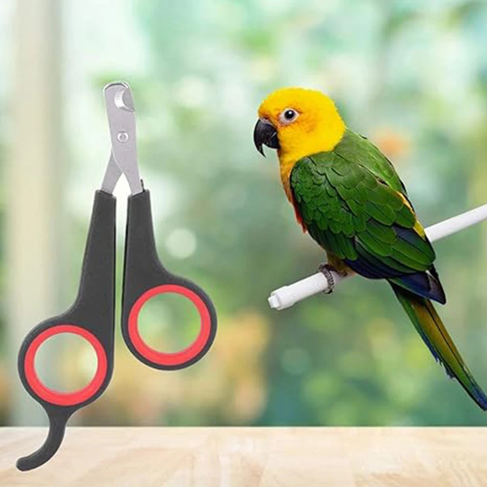 Pet Nail Claw Grooming Scissors Clippers for Dog Cat Toys Gerbil Small Animals Newest Rabbit Ferret Supplies  Pet Products